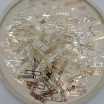 photo 5773707648661392582 y