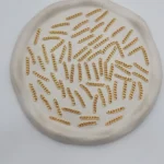 photo 5773707648661392589 y